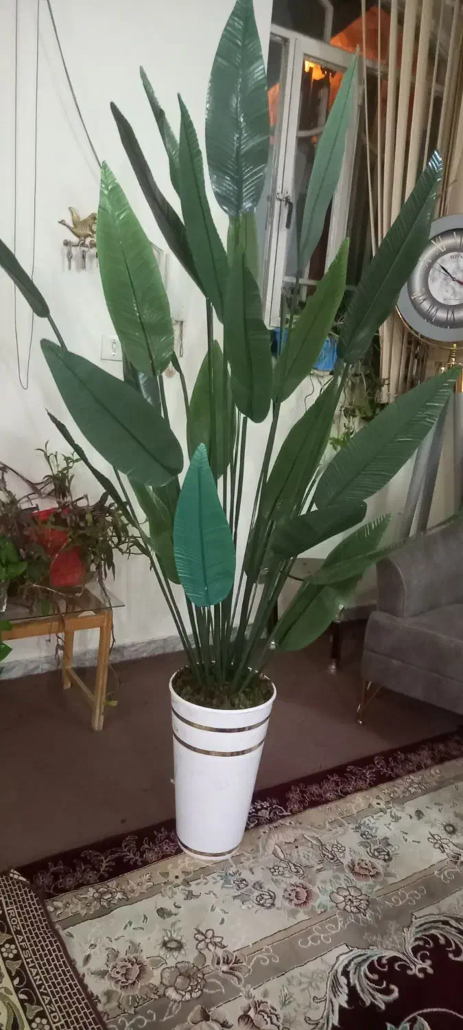 درختچه برگ بهشتی|گل مصنوعی|بروجرد, |دیوار