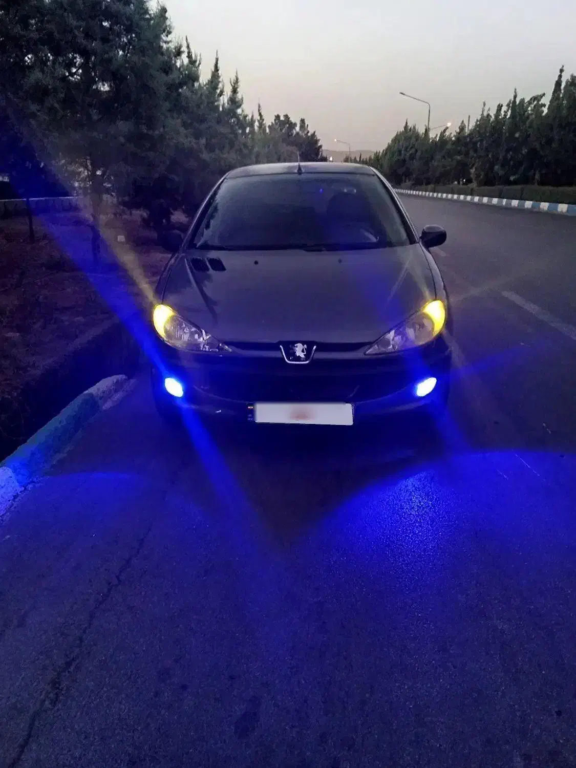 ۲۰۶مدل ۸۵|خودرو سواری و وانت|لنجان, |دیوار