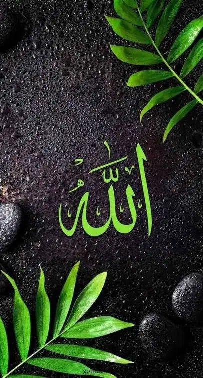 فال های حقیقی تضمینی|خدمات پذیرایی، مراسم|تهران, علم و صنعت|دیوار