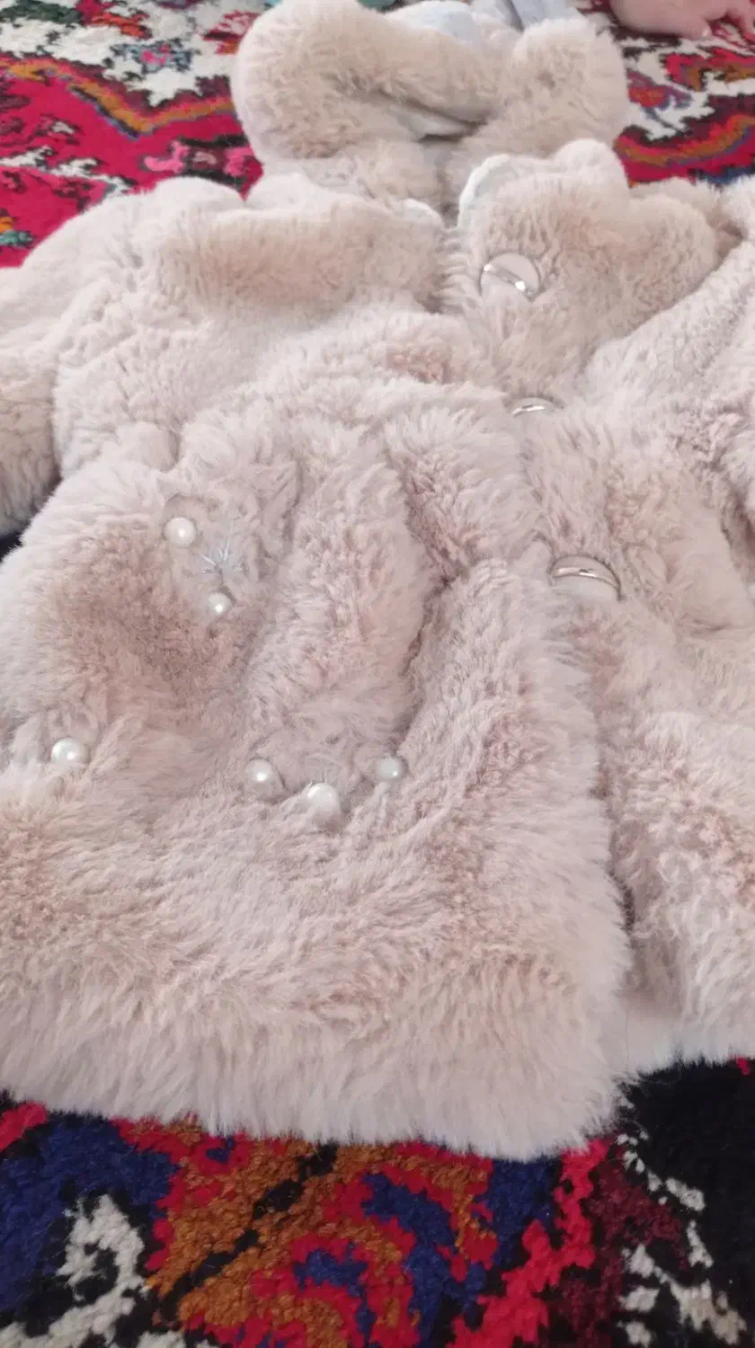 کاپشن پشم|لباس|آذرشهر, |دیوار