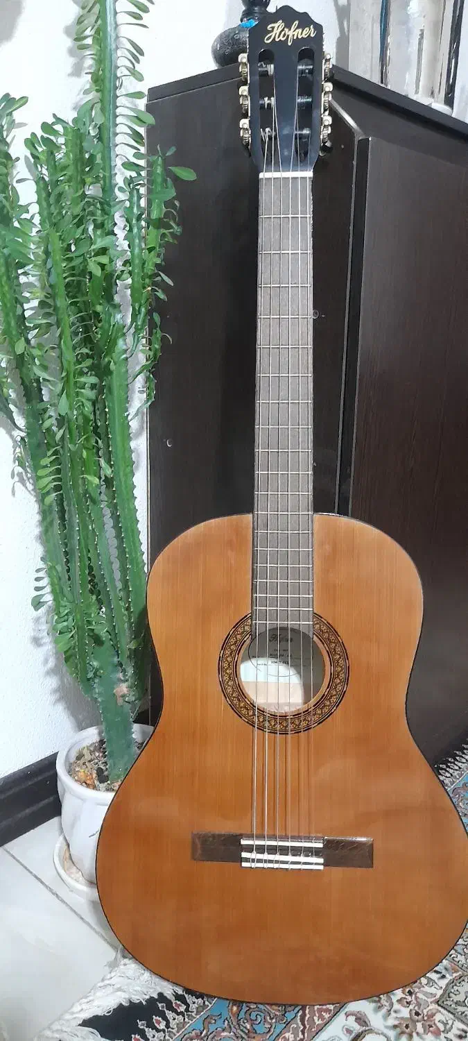 گیتار|گیتار، بیس، امپلیفایر|شاهین‌شهر, نبوت|دیوار