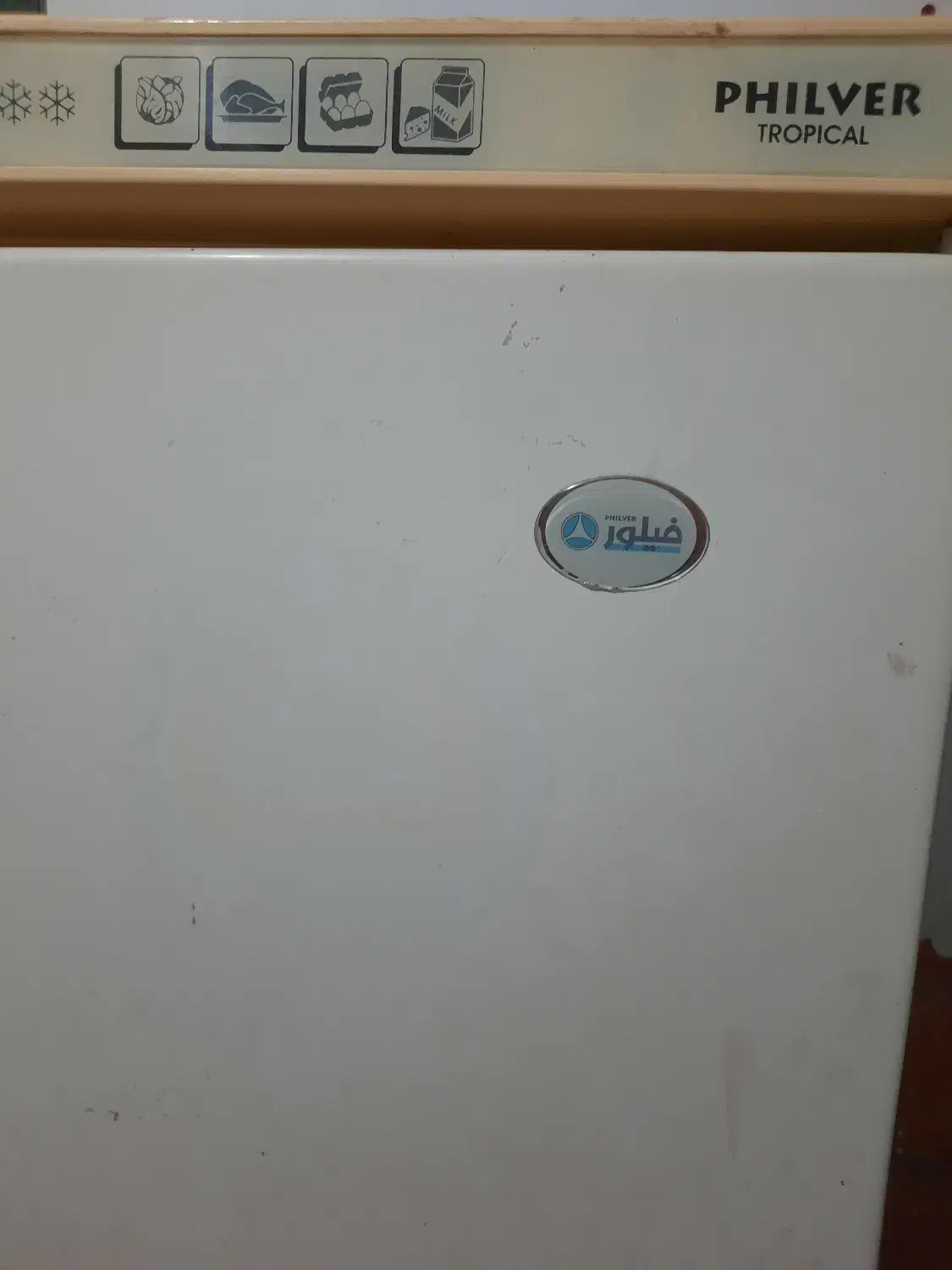 یخچال فیلور|یخچال و فریزر|نکا, |دیوار