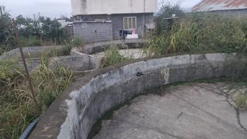 زمین کاربری مسکونی کشاورزی|فروش زمین و ملک کلنگی|تالش, طولارود|دیوار