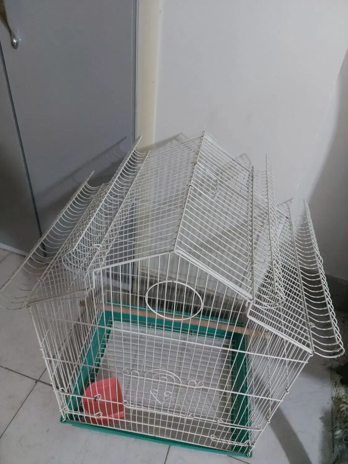 قفس پرنده|لوازم جانبی حیوانات|فولادشهر, مسکن مهر فولادشهر|دیوار