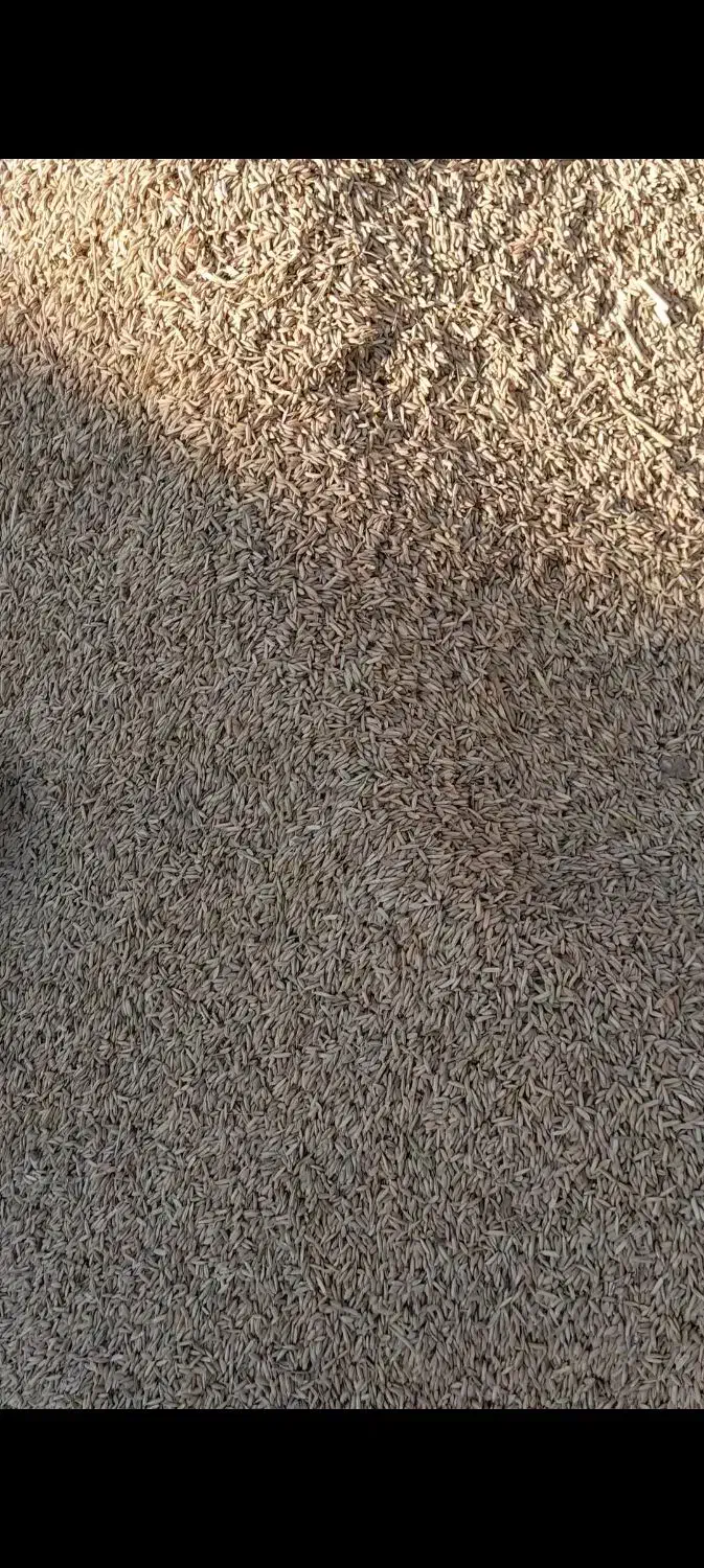 شوش|حراج|شوش, |دیوار