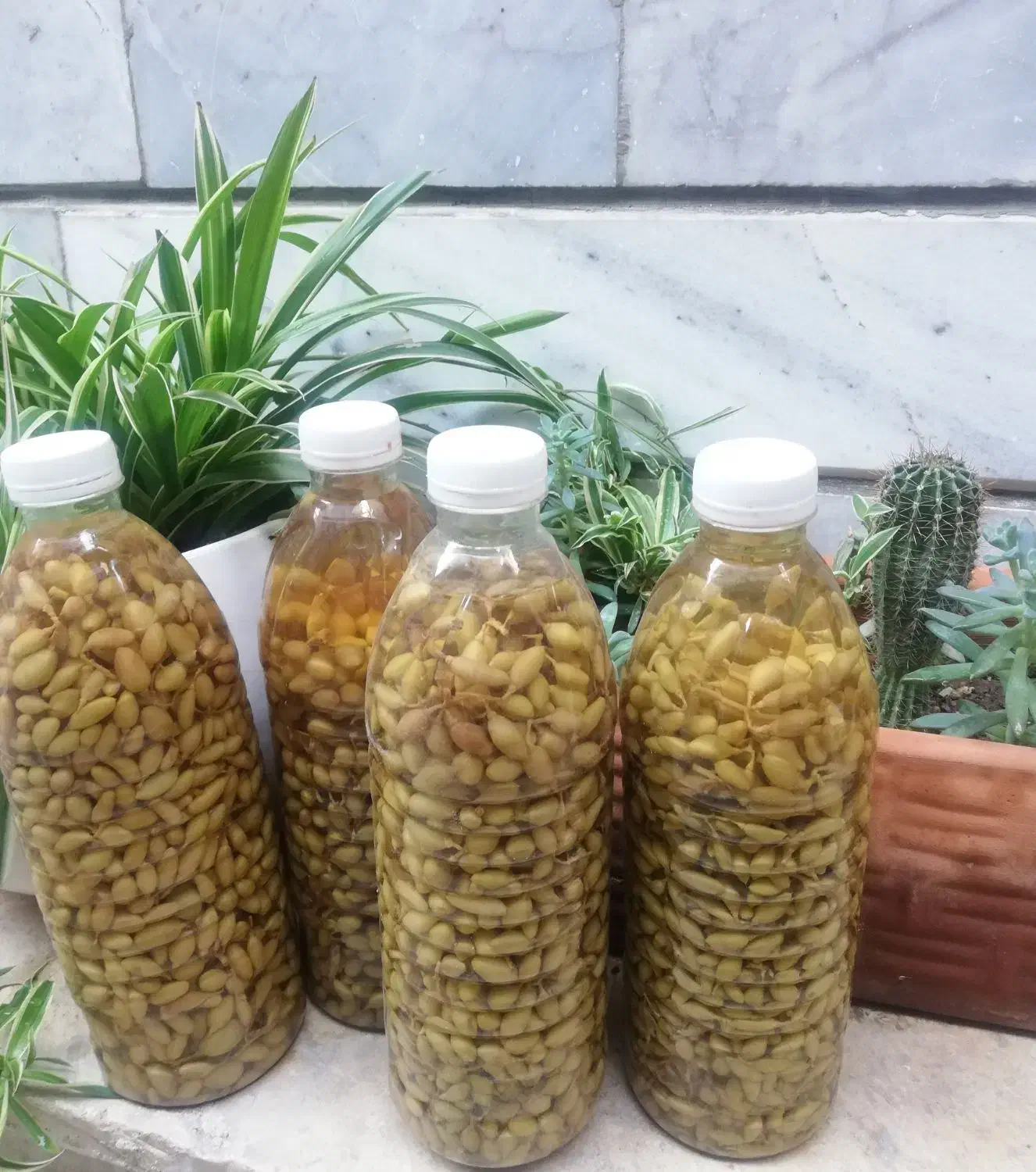 آبغوره و غوره شور|خوردنی و آشامیدنی|کرج, حسین‌آباد|دیوار