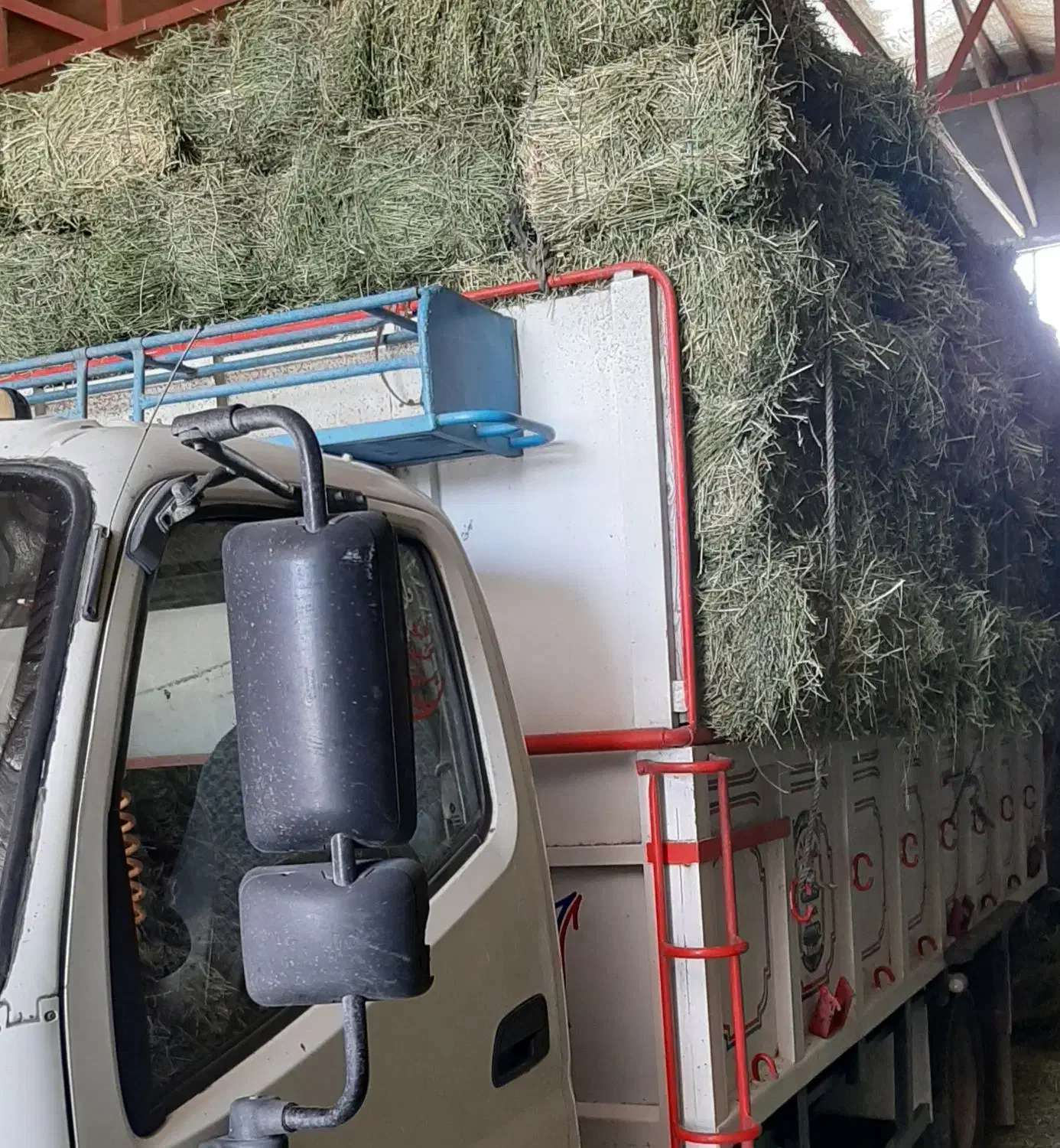 یونجه انباری چین ۲|خدمات باغبانی و درختکاری|زنجان, |دیوار