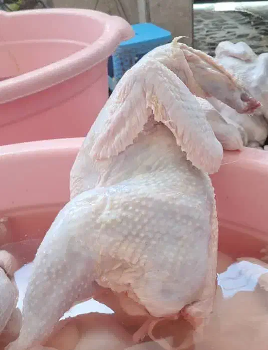 مرغ کشتار گرم|خوردنی و آشامیدنی|جویبار, |دیوار