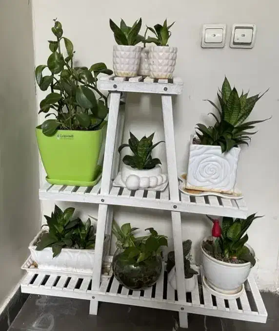 استندگلدان چوبی سفید رنگ سه طبقه نو|صنایع دستی و سایر لوازم تزئینی|گرگان, |دیوار