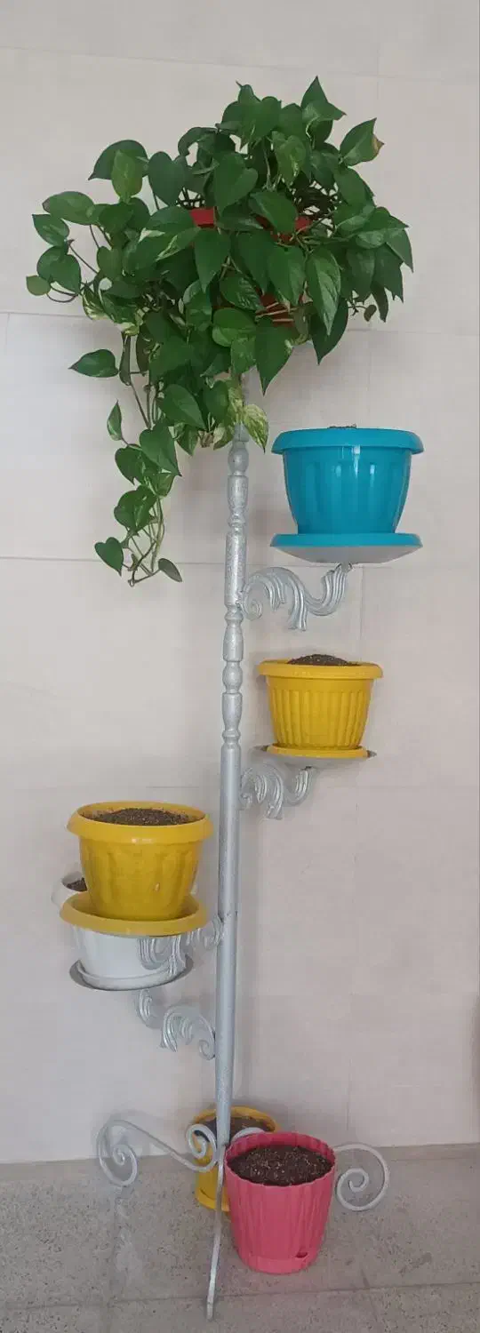 گل و گلدان و پایه گل|گل و گیاه طبیعی|کرج, بنیاد|دیوار