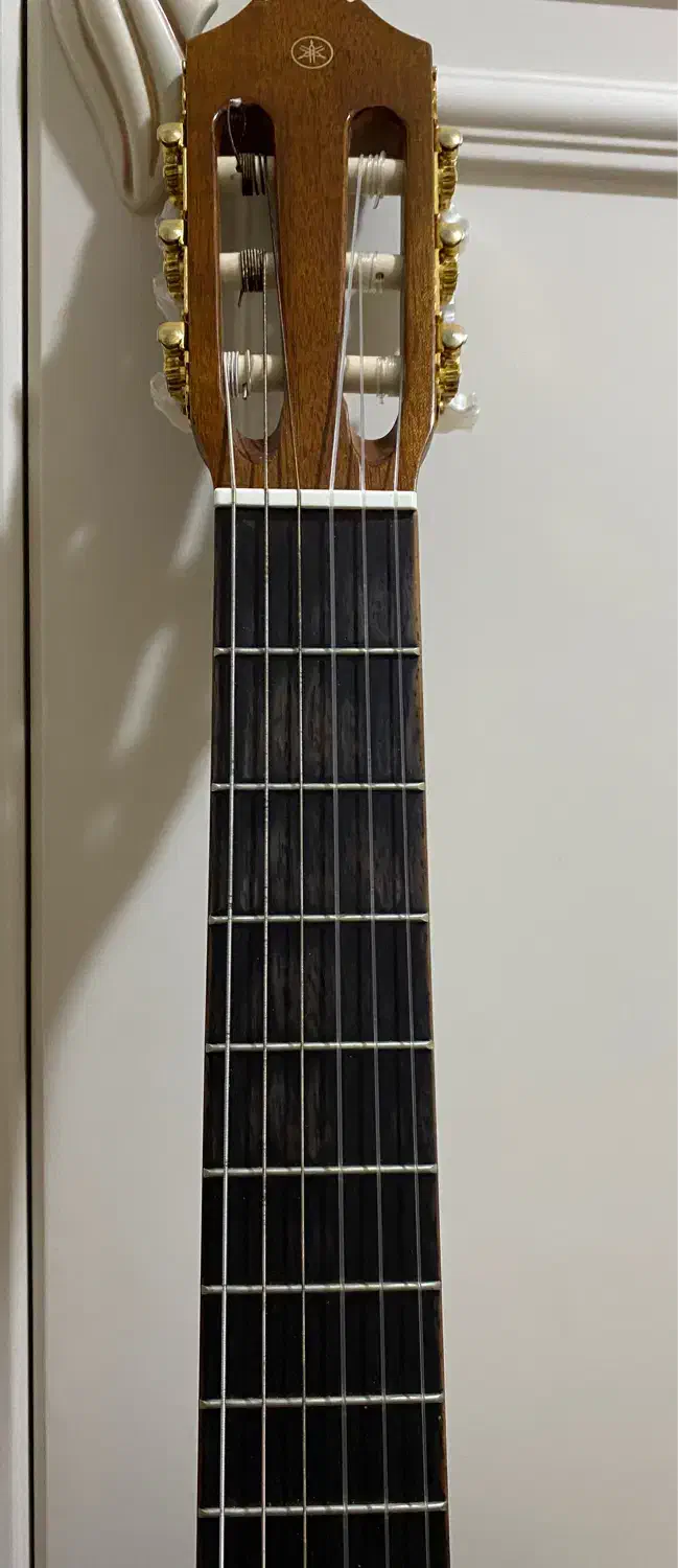 گیتار یاماها|گیتار، بیس، امپلیفایر|کرمان, |دیوار