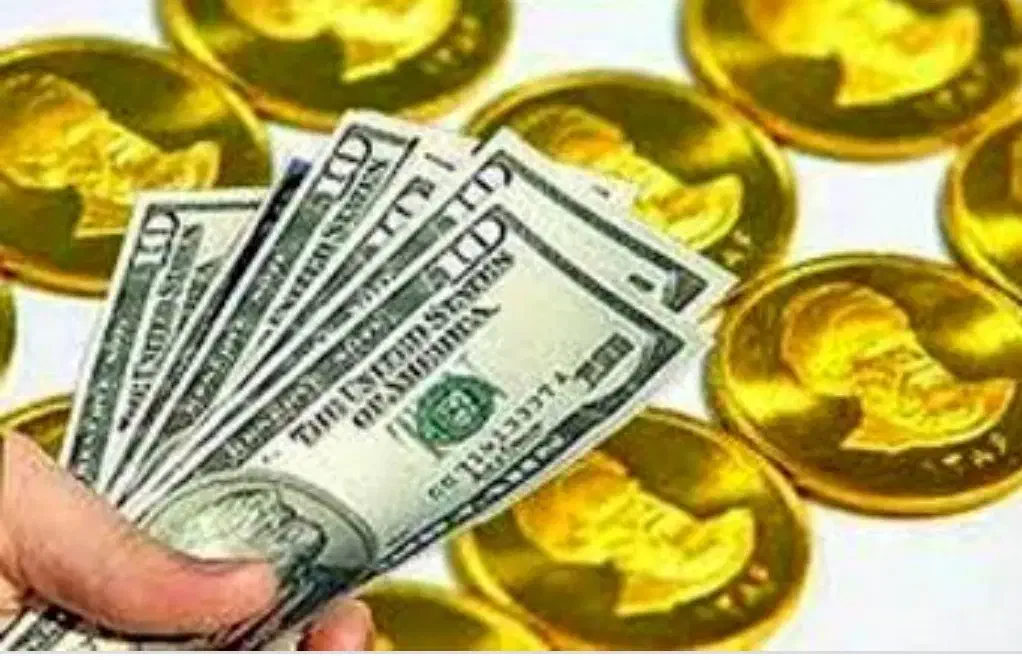 کدتخفیف ومعرف|کارت هدیه و تخفیف|قم, امامزاده ابراهیم|دیوار