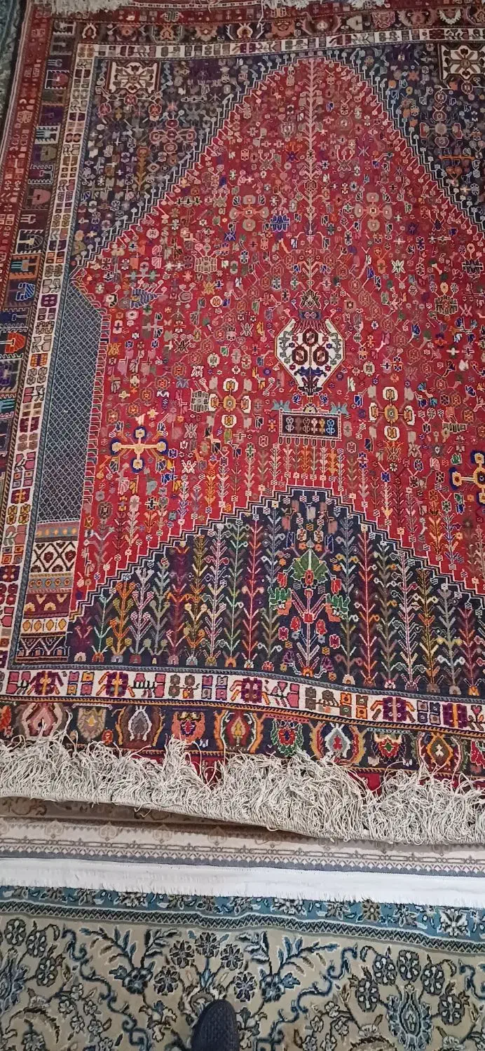 فرش دست بافت یک سر ناظم|فرش|شیراز, صاحب الزمان|دیوار