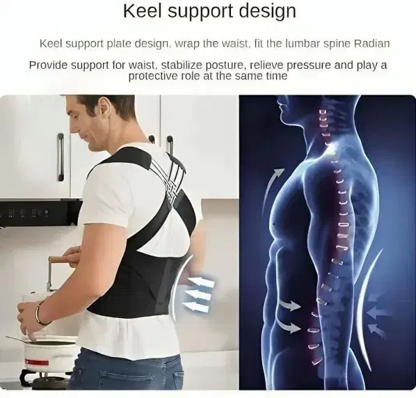 قوز. بند کمر|تجهیزات ورزشی|گنبد کاووس, |دیوار