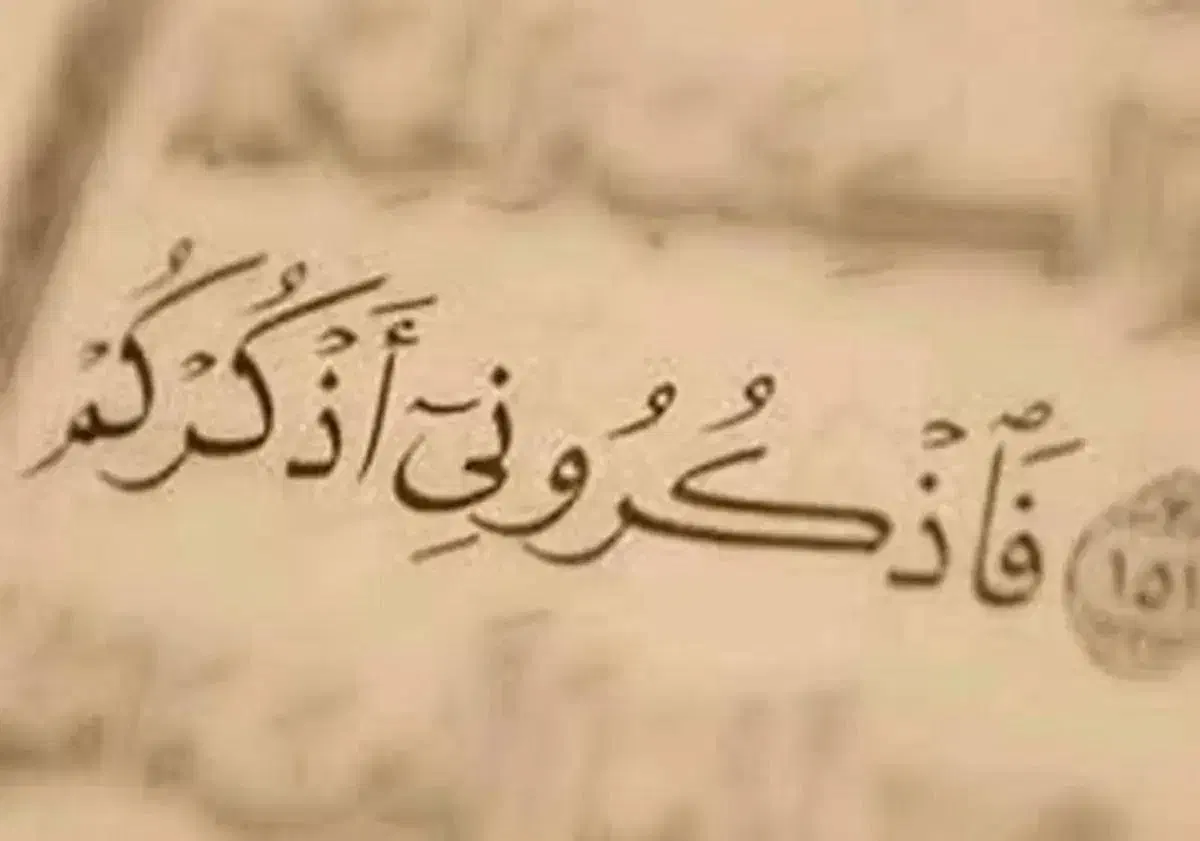 تک نیت اول رایگان|خدمات پذیرایی، مراسم|گرگان, |دیوار