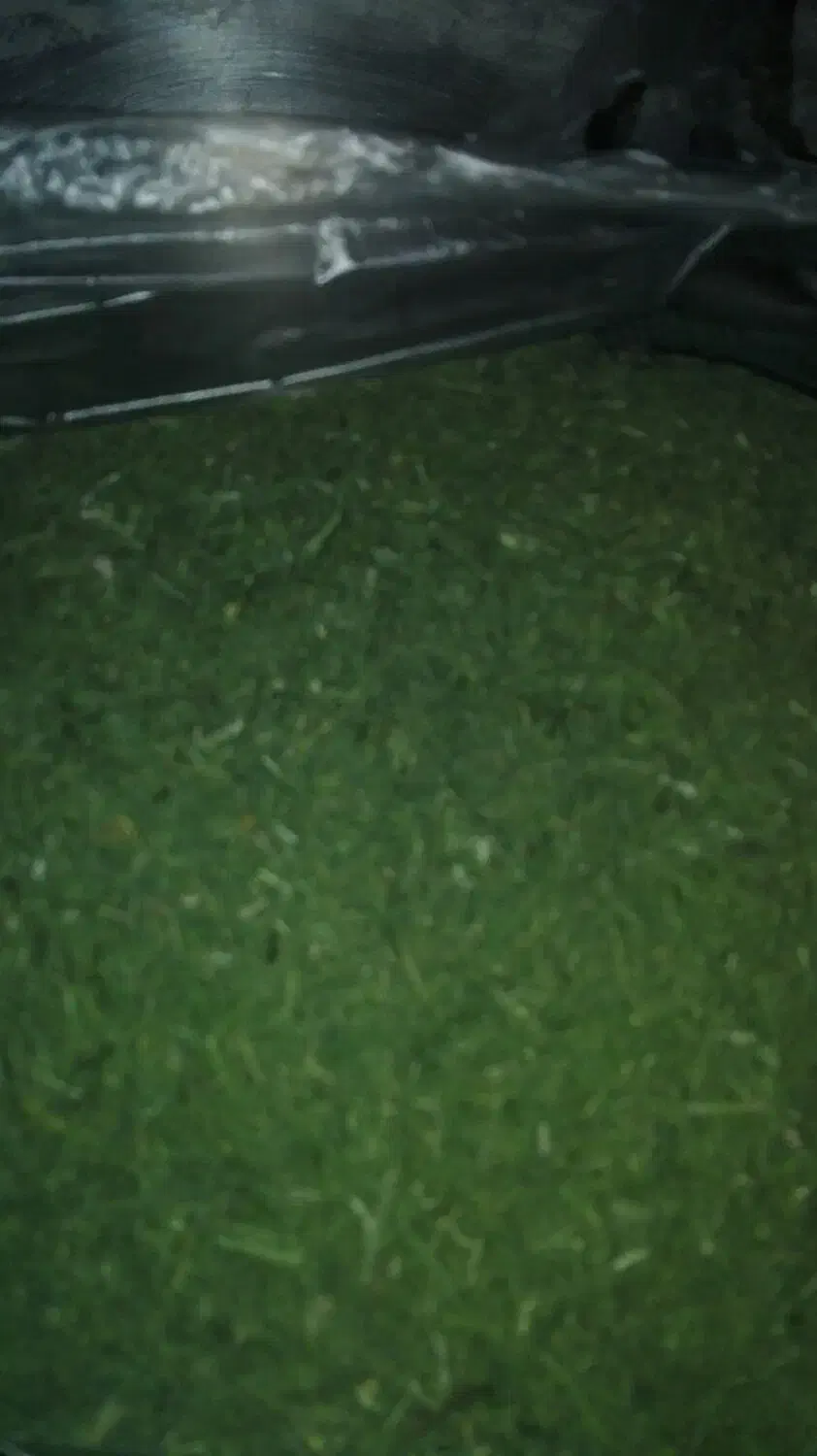 فروش سبزی خشک|خوردنی و آشامیدنی|نهاوند, |دیوار