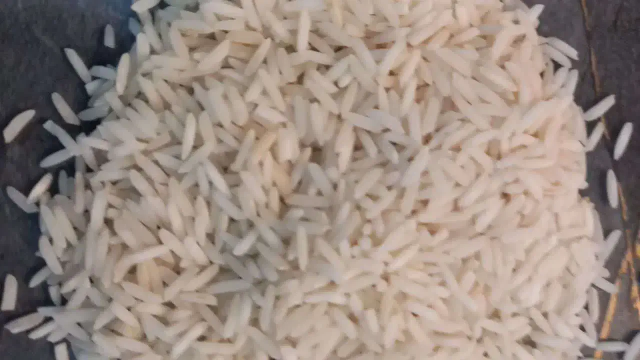 برنج هاشمی اصیل و یکدست|خوردنی و آشامیدنی|پرند, فاز ۴|دیوار