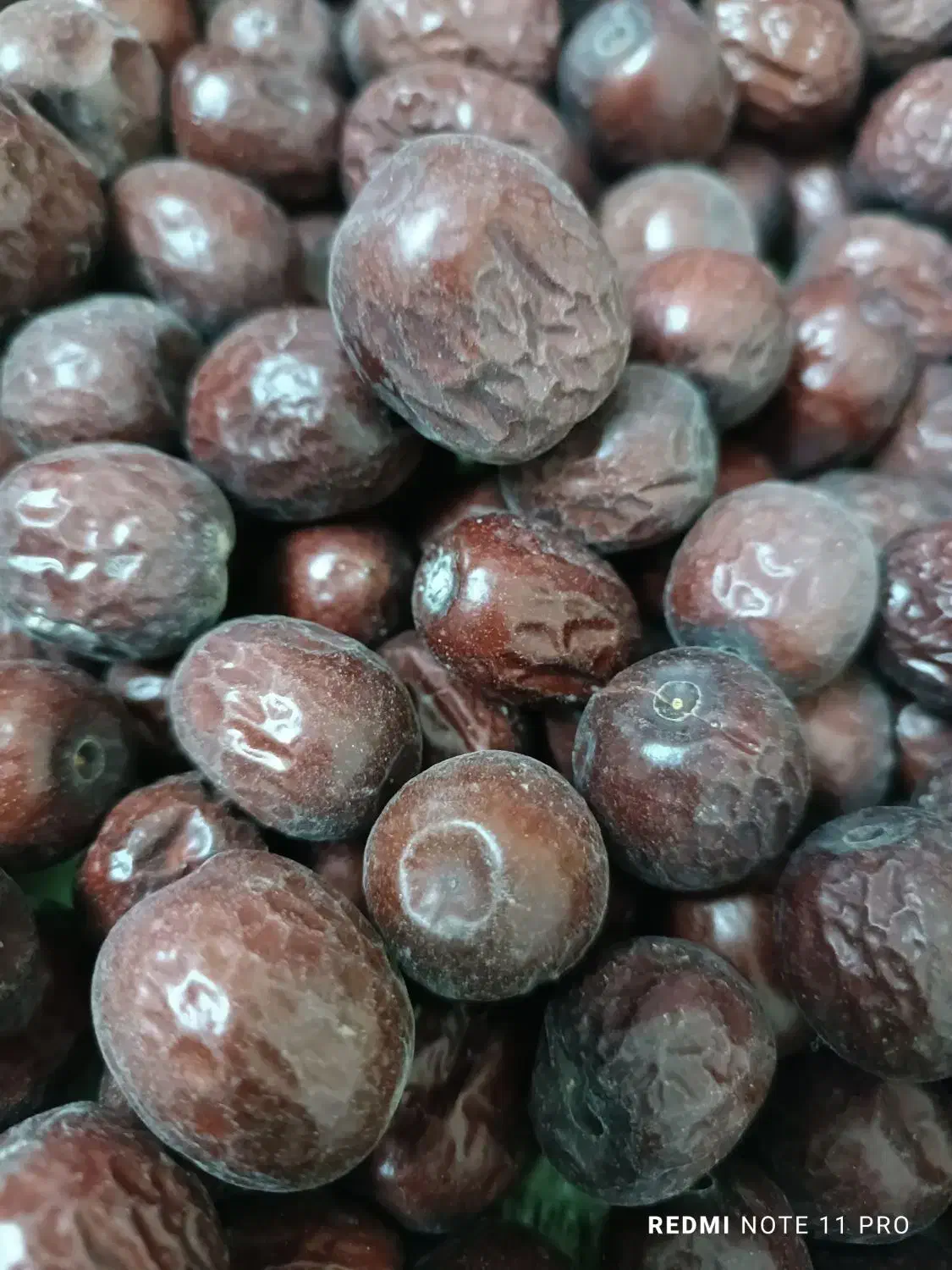 فروش کلی و جزئ عناب در بیرجندومشهد|خوردنی و آشامیدنی|مشهد, شهید بهشتی|دیوار