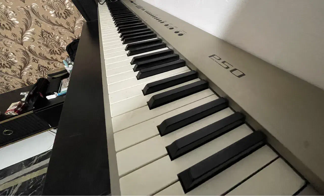 پیانو دیجیتال|پیانو، کیبورد، آکاردئون|تهران, استاد معین|دیوار