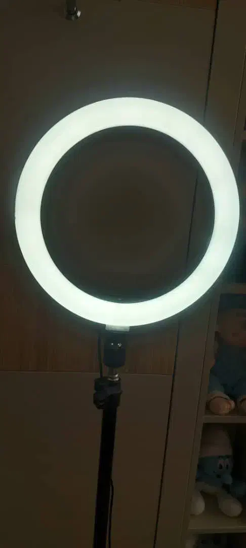 رینگ لایت|دوربین عکاسی و فیلمبرداری|فردیس, فردیس|دیوار