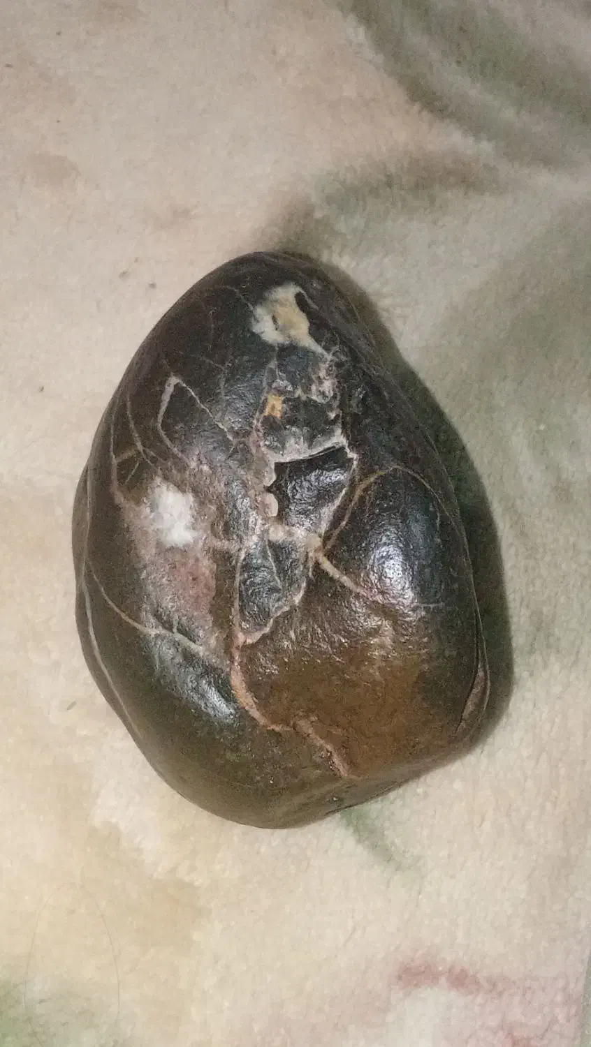 سنگ|کلکسیون اشیاء عتیقه|تربت جام, جامرود|دیوار