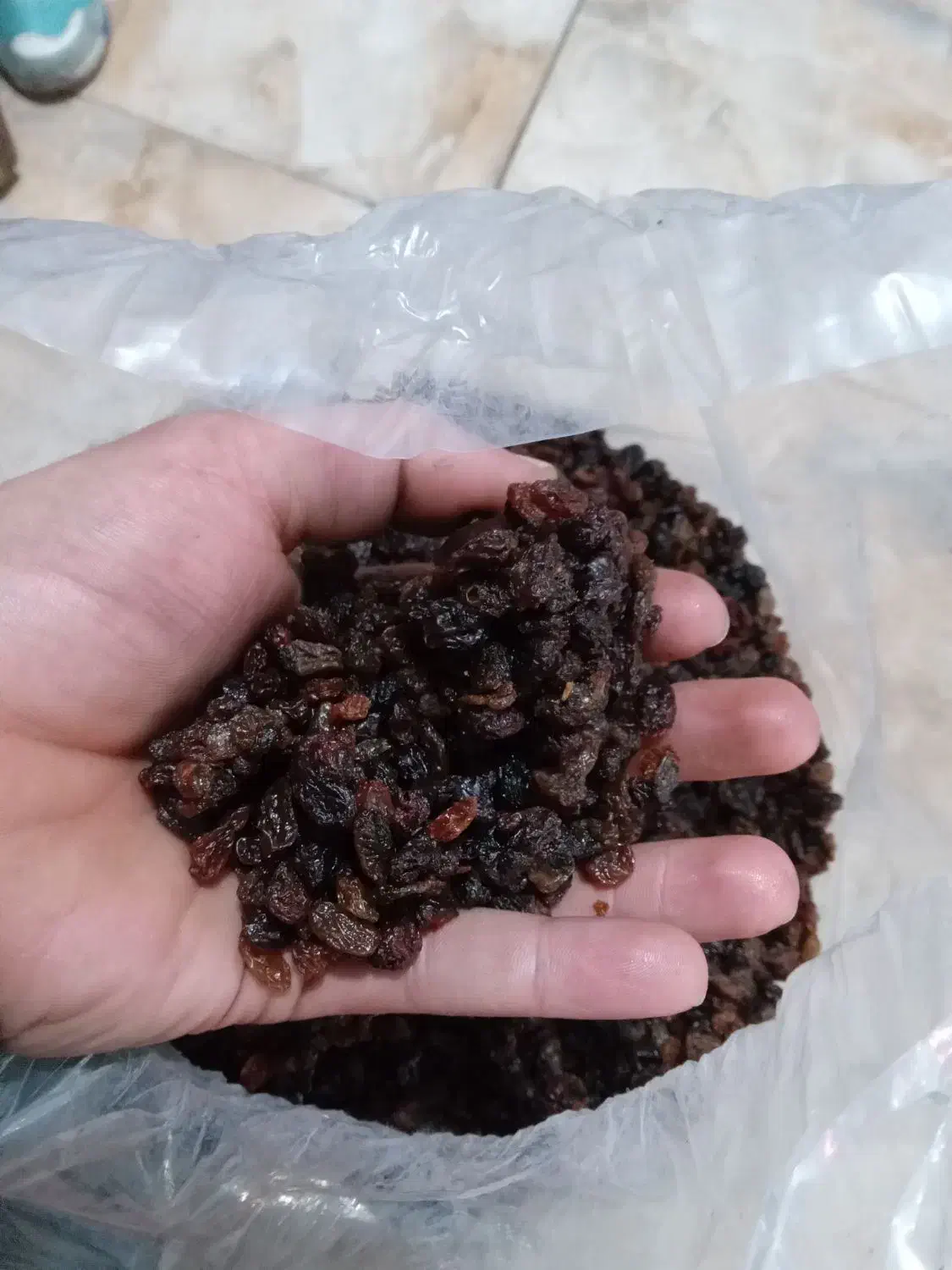 همه مدل بار کشمش موجود می باشد|خوردنی و آشامیدنی|ماهدشت, |دیوار