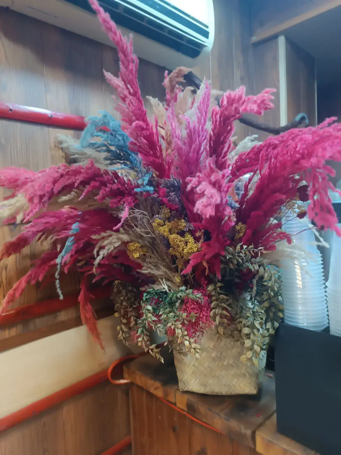 ۴عدد گلدان وگل مختلف|گل و گیاه طبیعی|رشت, چمارسرا|دیوار