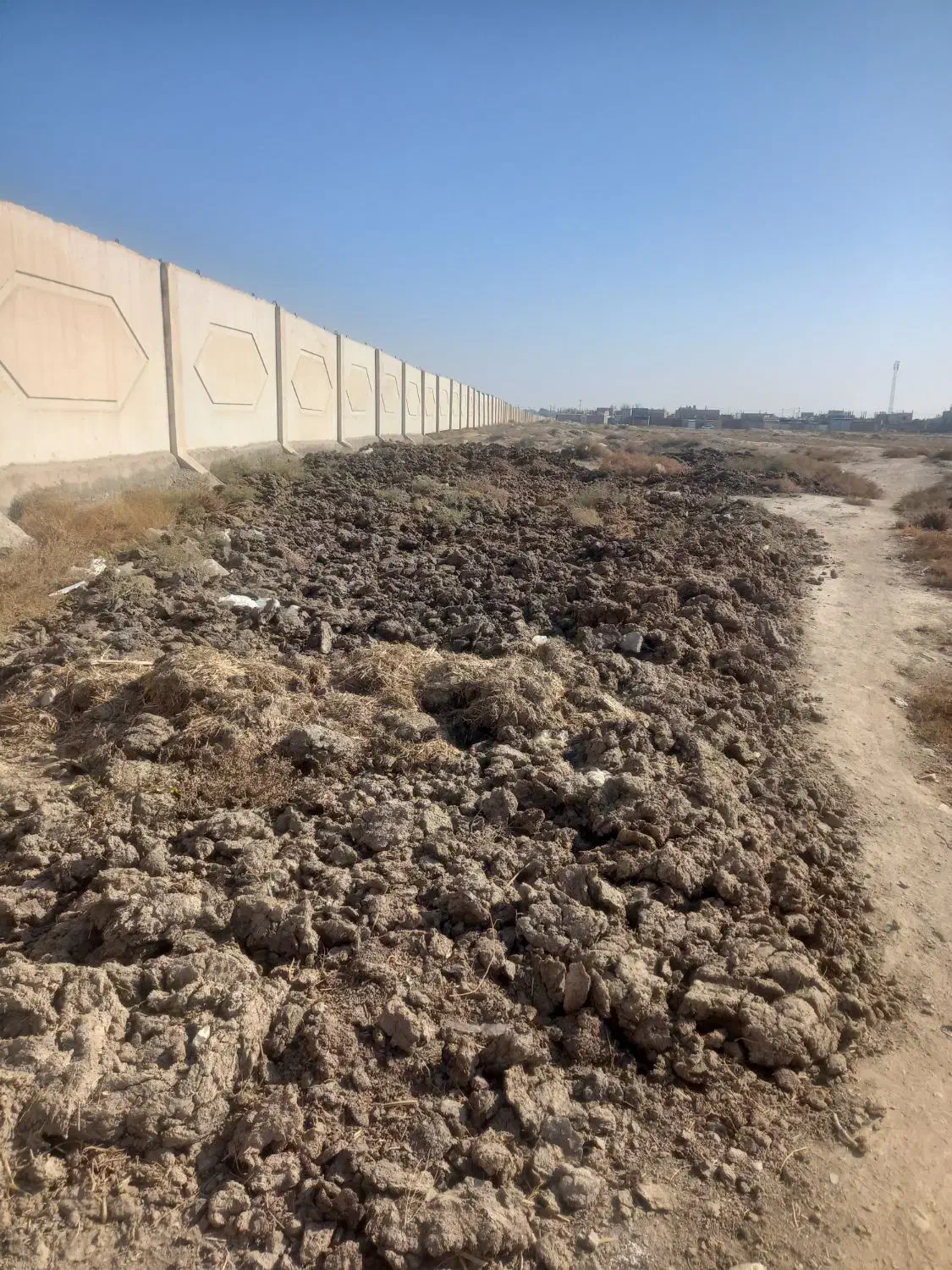 بار گاو|خدمات باغبانی و درختکاری|نیشابور, شهرک رضوی|دیوار