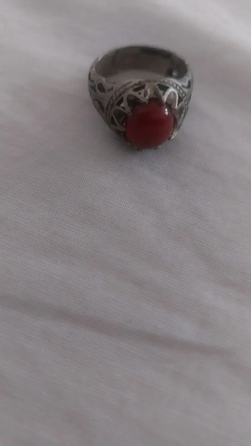 پرنده|پرنده|کوهسار (البرز), |دیوار