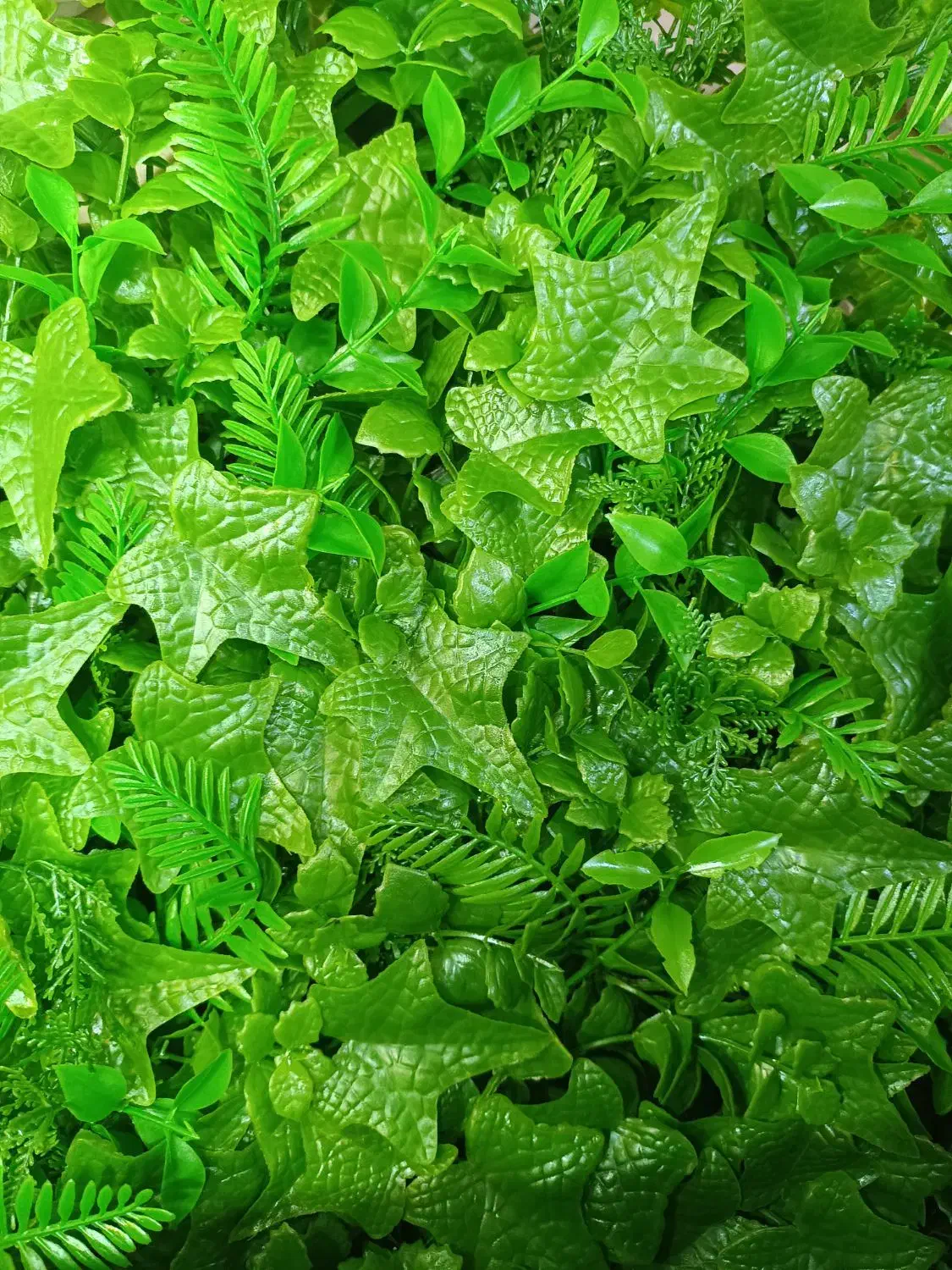 گرینوال ۵۰×۵۰|گل مصنوعی|شیراز, اصلاح‌نژاد|دیوار