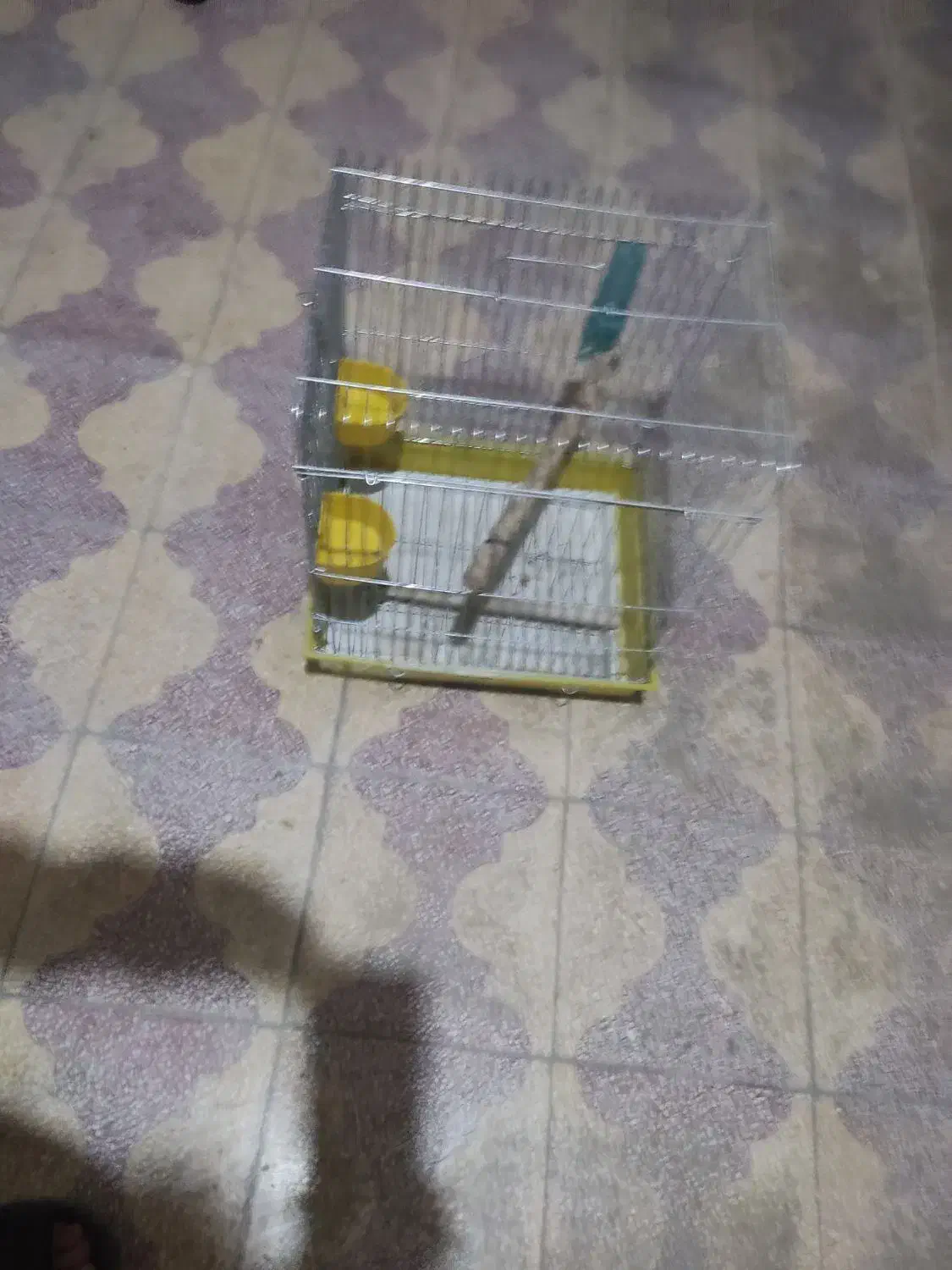 یک عدد قفس|لوازم جانبی حیوانات|بهبهان, |دیوار