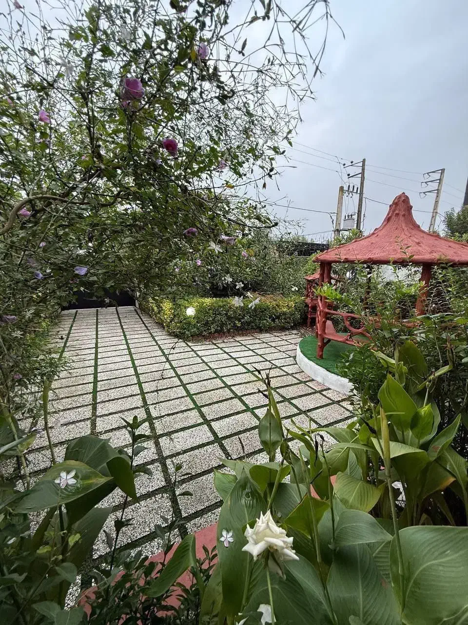 ویلا باغ مشجر جاده جنگلی ایزد شهر|فروش خانه و ویلا|امامزاده عبدالله, |دیوار