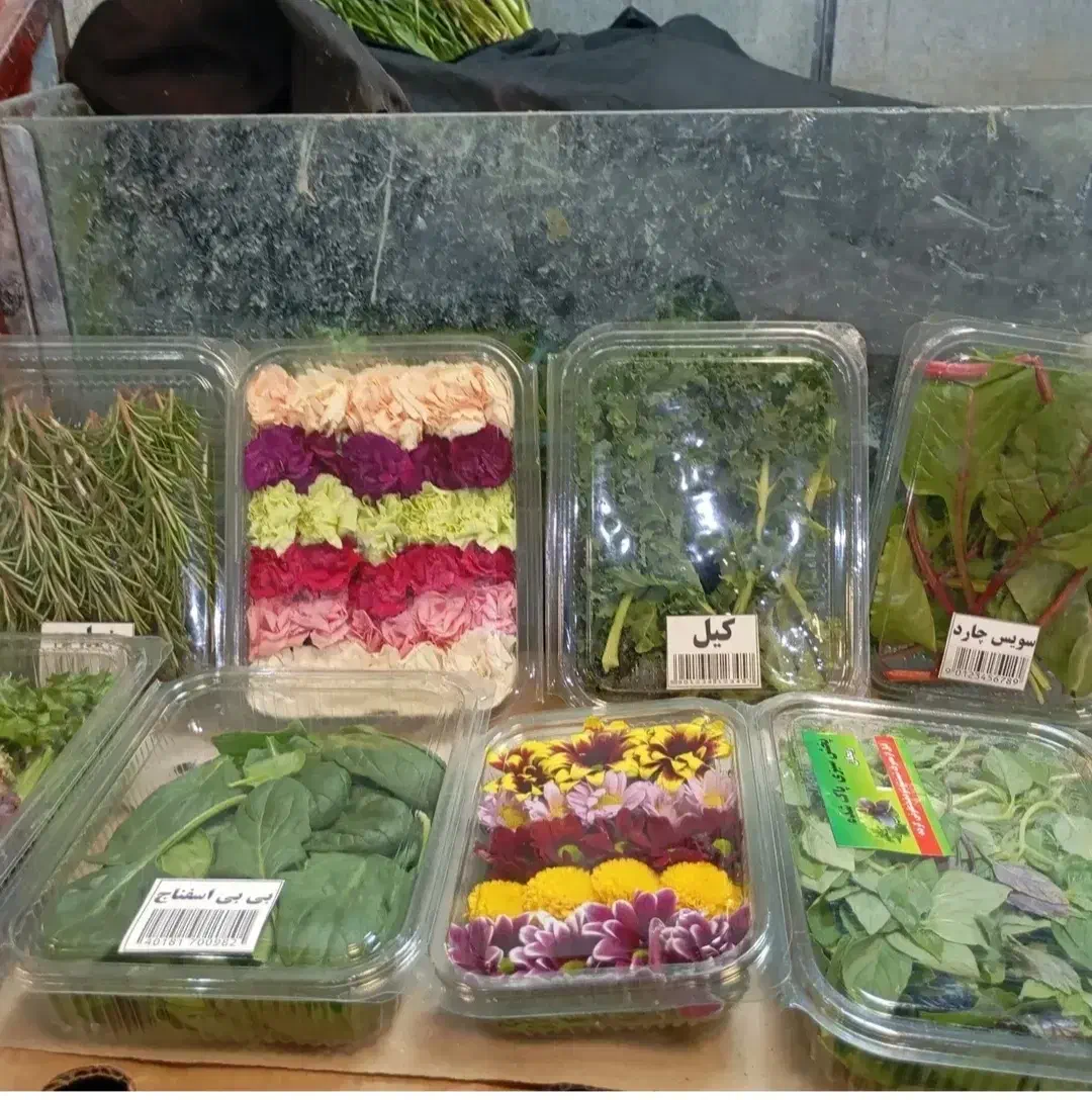 انواع سبزیجات ایرانی وفرنگی|خوردنی و آشامیدنی|تهران, سردارجنگل|دیوار