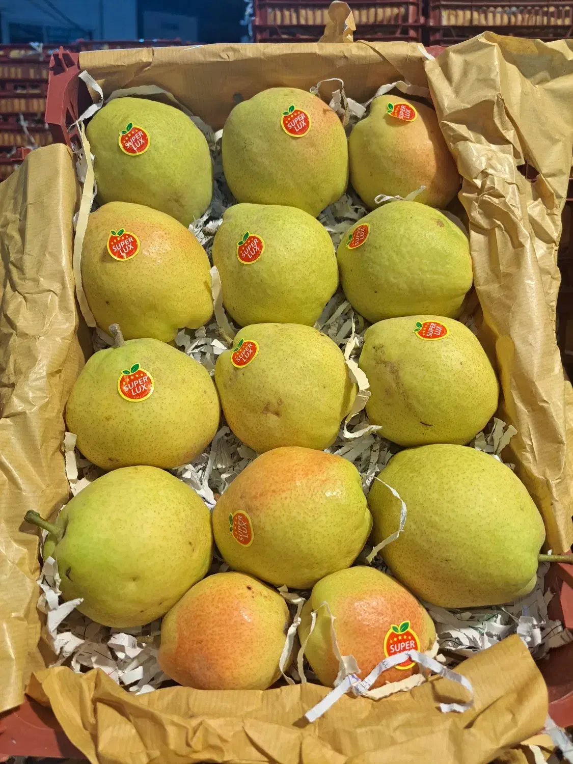 گلابی درگزی|خوردنی و آشامیدنی|اقبالیه, |دیوار