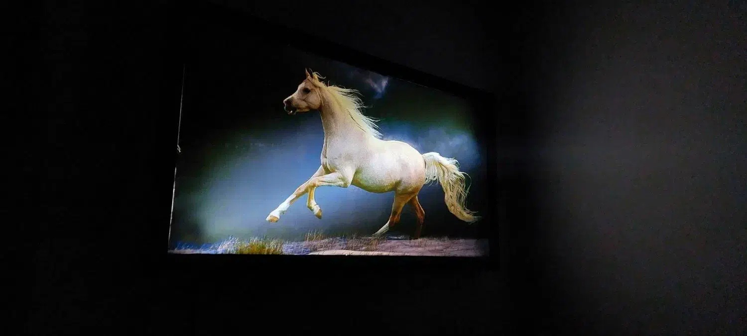 تابلودیواری اسب|تابلو، نقاشی، عکس|پاکدشت, پاکدشت (مامازند)|دیوار