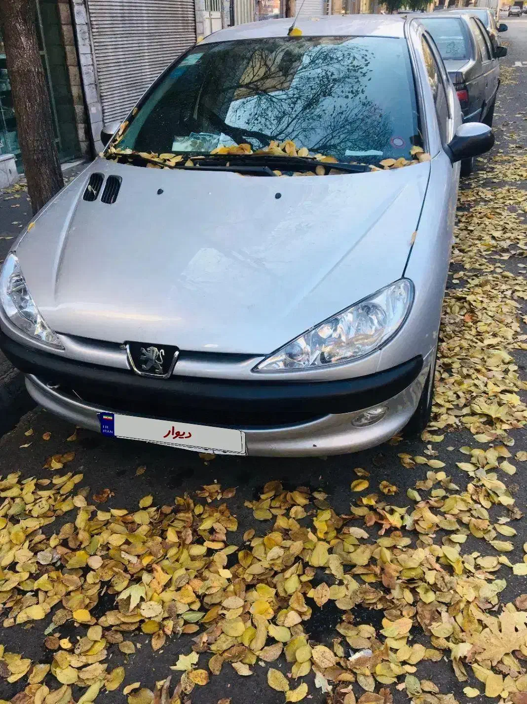 206 SD V9 اتومات مدل 89|خودرو سواری و وانت|تهران, بریانک|دیوار