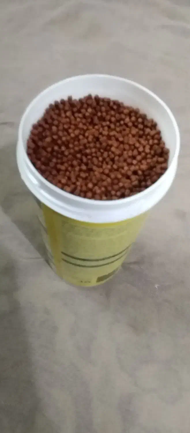 غذای ماهی|ماهی|قم, نوبهار|دیوار