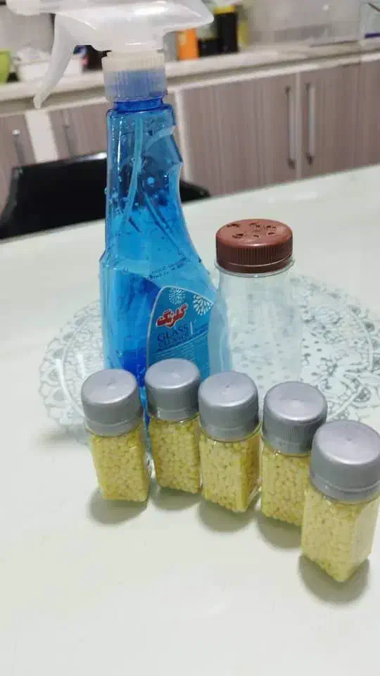 حلزون|خزنده|تهران, نصرت|دیوار