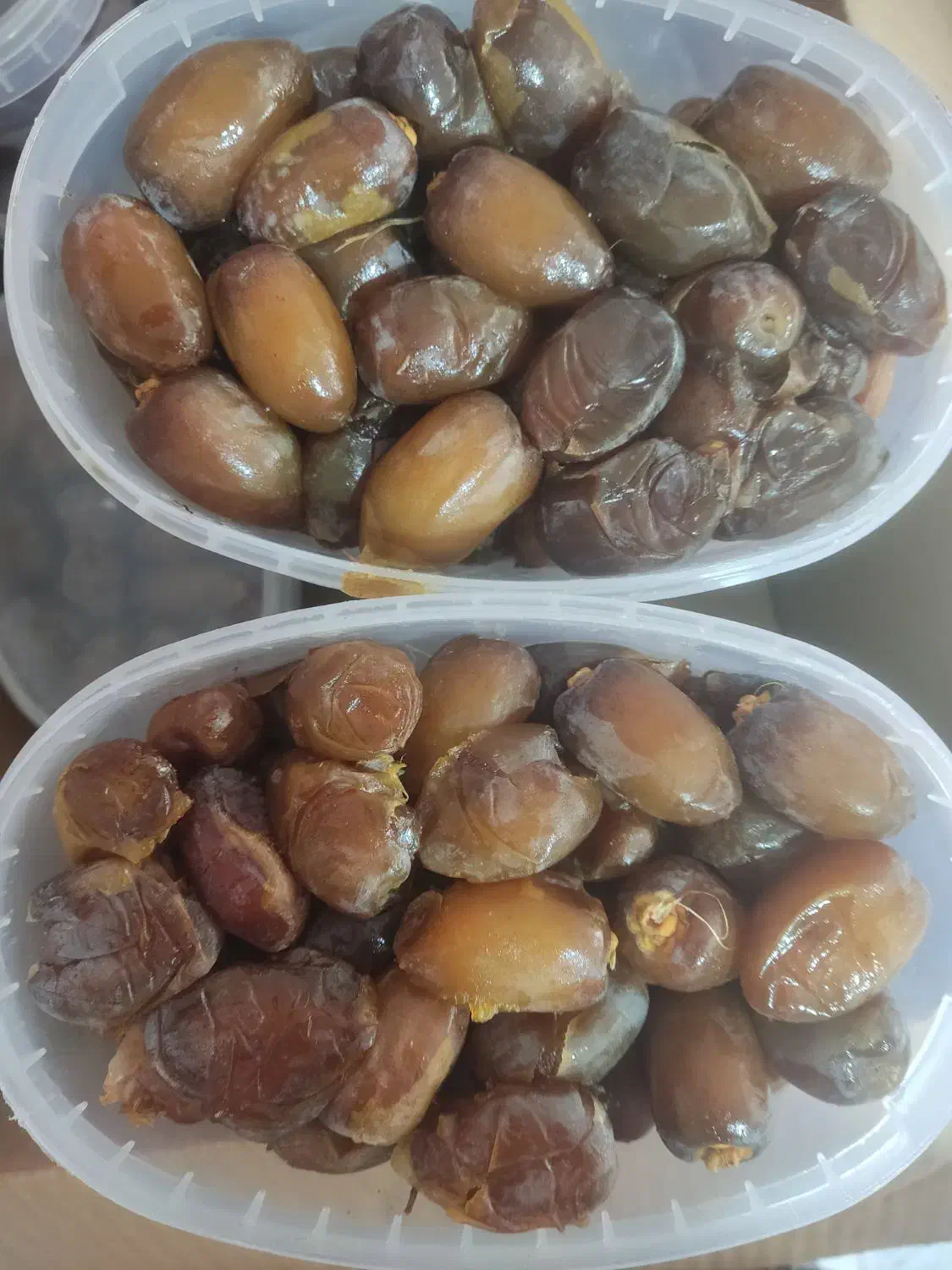 رطب عسلی کبکاب|عمده‌فروشی|برخوار, |دیوار