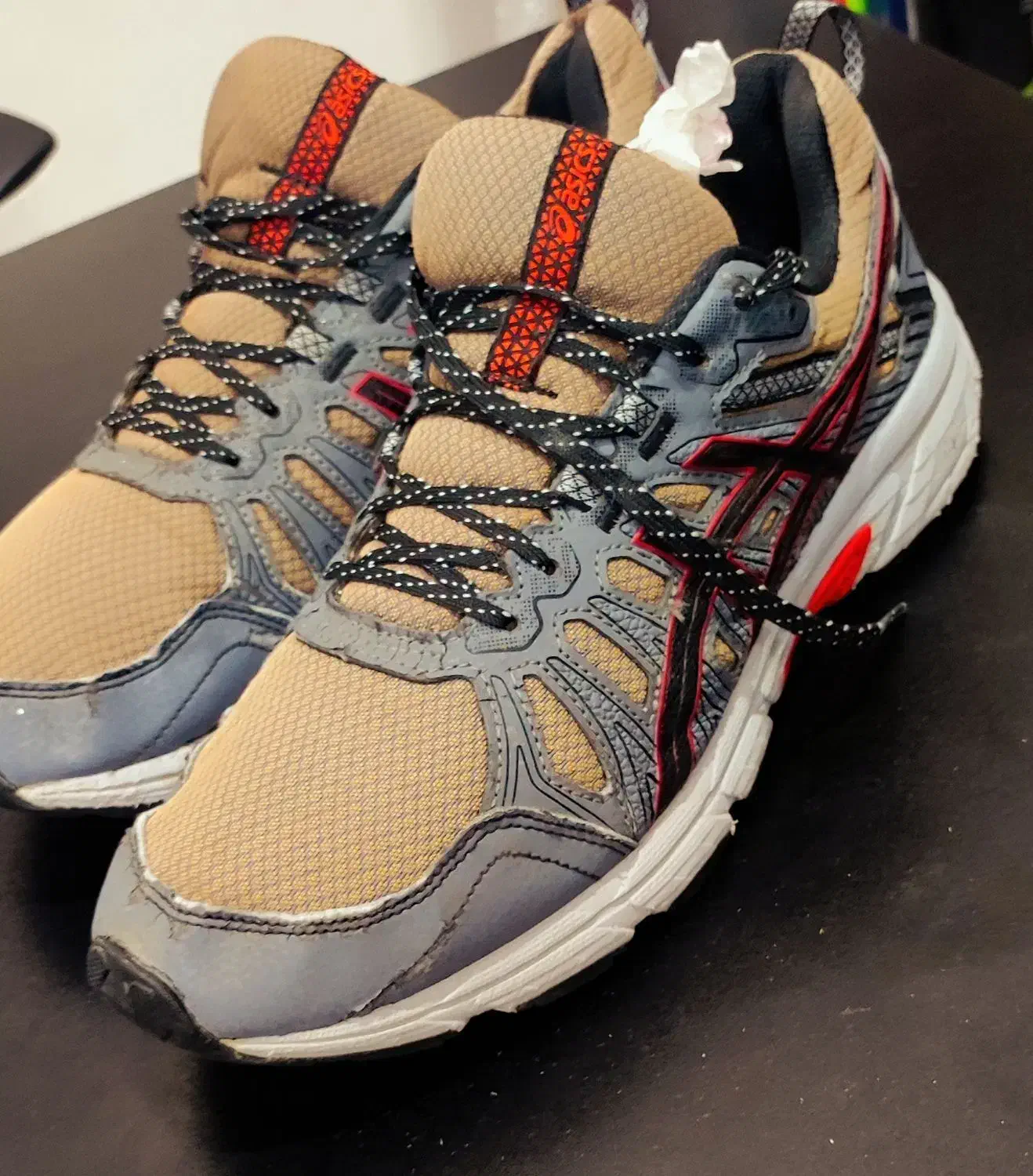 کتونی رو گرون نخر|کیف، کفش، کمربند|شیراز, فخرآباد (دروازه کازرون)|دیوار