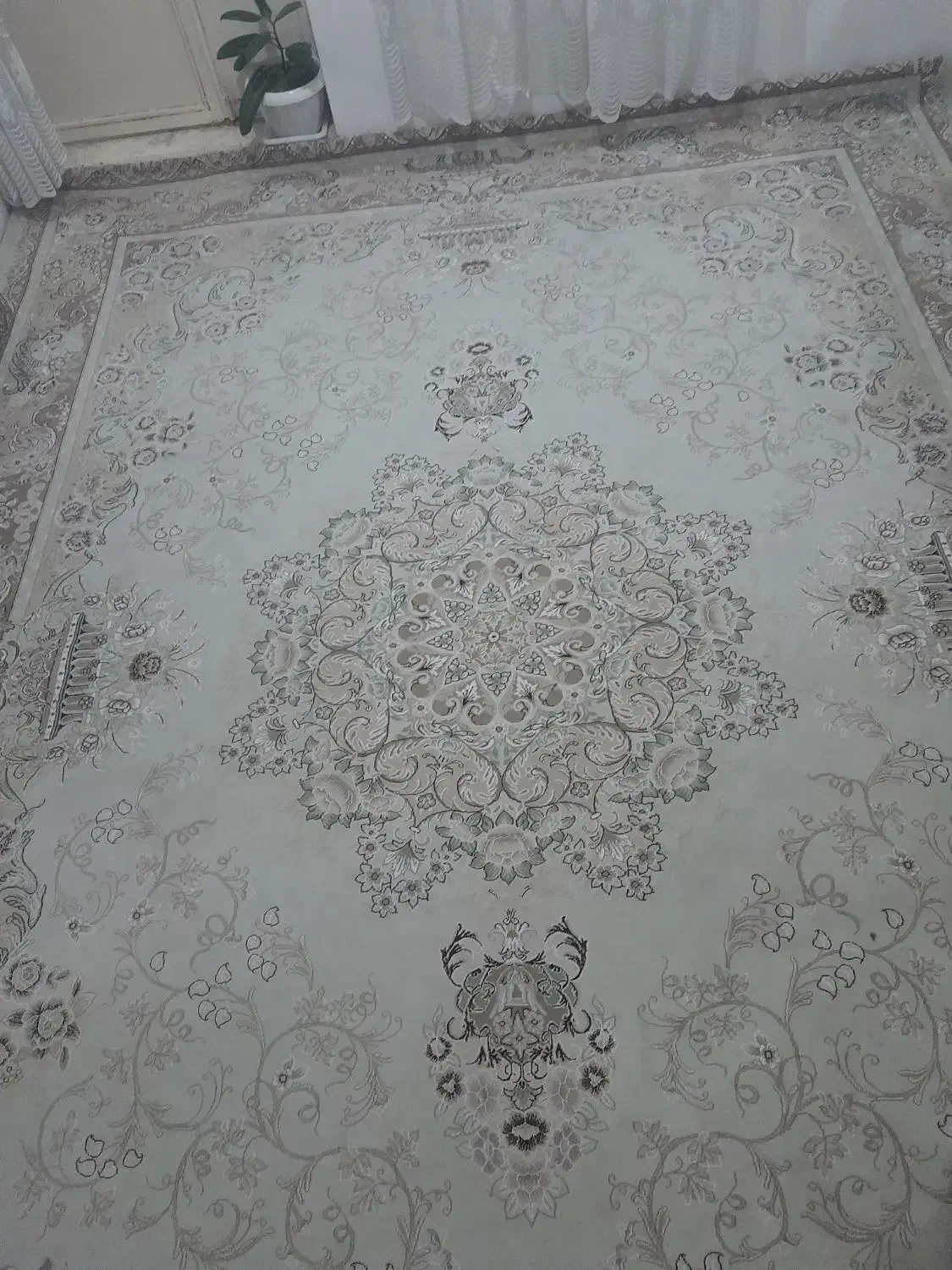 فرش و پشتی|فرش|سقز, |دیوار