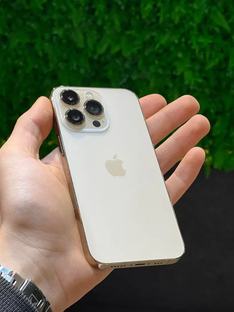 iphone 13pro|موبایل|سنگر, |دیوار