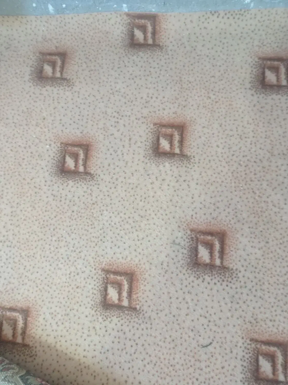 سه عددموکت درحدنوبا دوعددگلیم فرش|موکت|بسطام, |دیوار