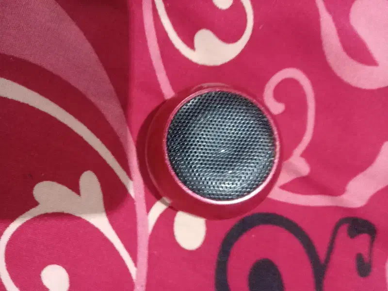 اسپیکر|سیستم صوتی خانگی|آستارا, |دیوار