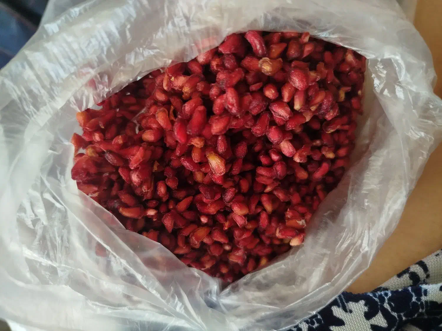 خشک خشک|حراج|نورآباد ممسنی, |دیوار