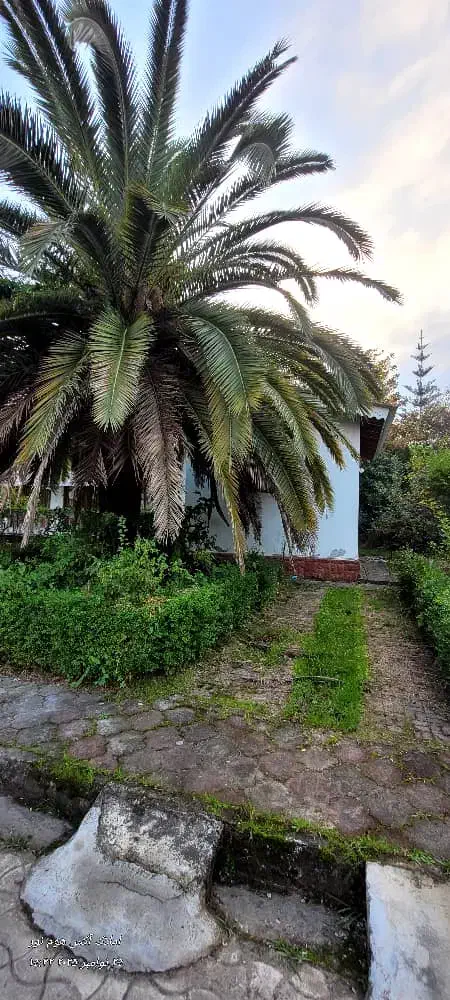 ۴۰۰متر ویلا دوبلکس در منطقه توریستی  سیاهرود|فروش خانه و ویلا|رویان, |دیوار