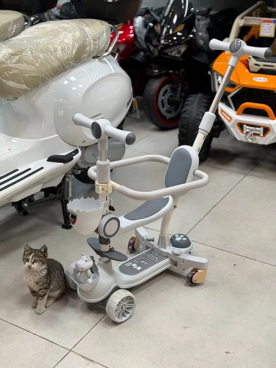 اسکوچی کد ZR2177|اسباب‌‌بازی|رشت, دیلمان|دیوار