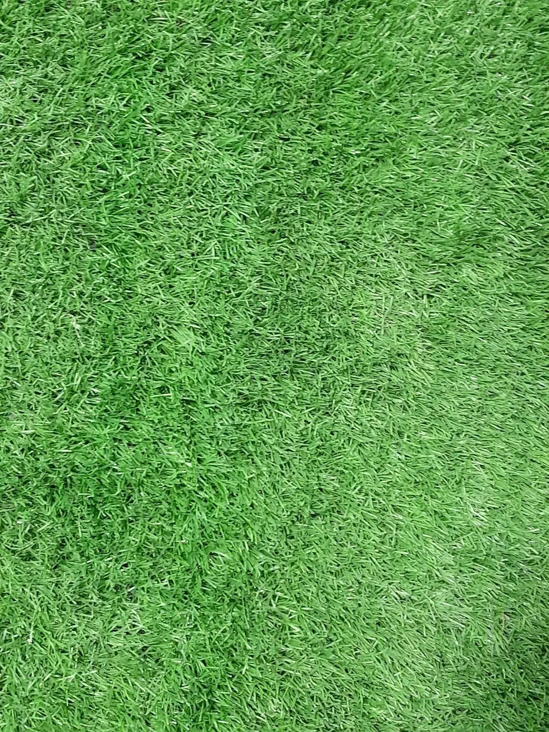 چمن مصنوعی عرض 2متر|مصالح و تجهیزات ساختمان|عباسآباد, |دیوار