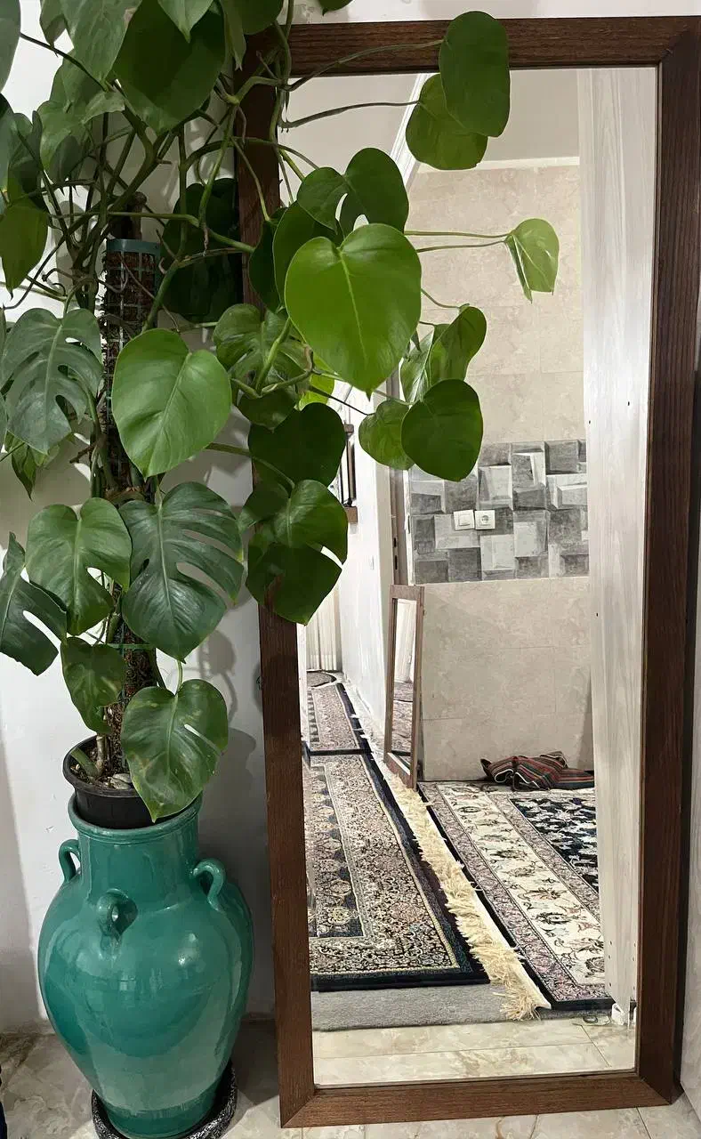 آینه قدی با قاب روکش طبیعی چوب|آینه|اندیشه, اندیشه فاز ۱|دیوار