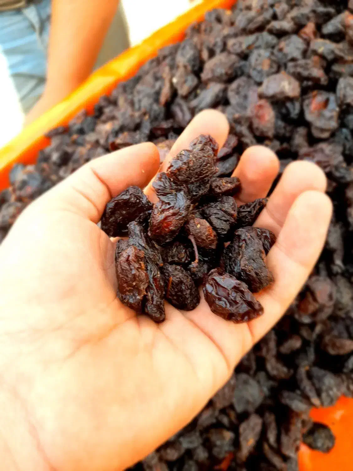 آلو خوانساری گردو سبز گردو خشک پارساله بادام|خوردنی و آشامیدنی|قم, جمکران|دیوار